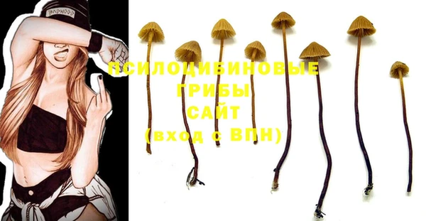 гидропоника Вязьма